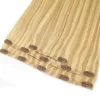 extension-clip-invisibili-biondo-mix