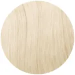Biondo chiaro dorato 22A